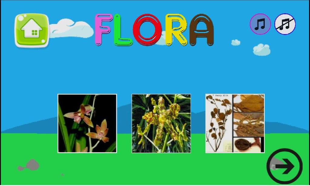 43 3. Rancangan Antarmuka Halaman Menu Flora Di dalam halaman ini akan memunculkan tiga Gambar Flora, musik On, musik Off, lanjut dan tombol Home.