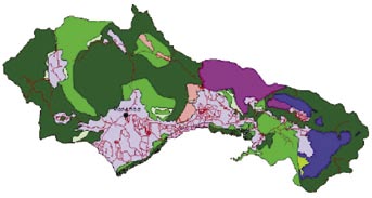 Dinamika Proses Desentralisasi Sektor Kehutanan di Sulawesi Selatan Selain sumberdaya hutan, Kabupaten Luwu Utara juga mempunyai sumberdaya mineral potensial, seperti 3,1 milyar m 3 marmer, 13,7