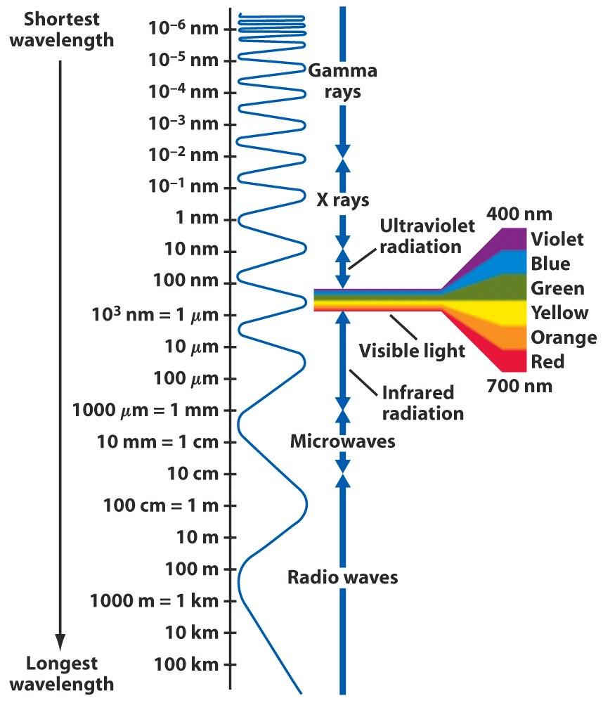 Electromagnetic Spectrum Visible light falls in the 400 to 700 nm range In the order of decreasing wavelength Radio waves: 1