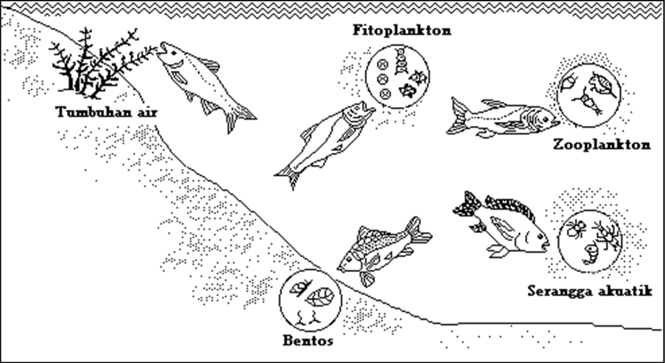 Bab 4. Kolam Air Tawar Kegiatan budidaya ikan dapat dimaksimalkan produksinya dengan pemeliharaan berbagai jenis ikan dalam satu kolam yang disebut Sistem Polikultur.