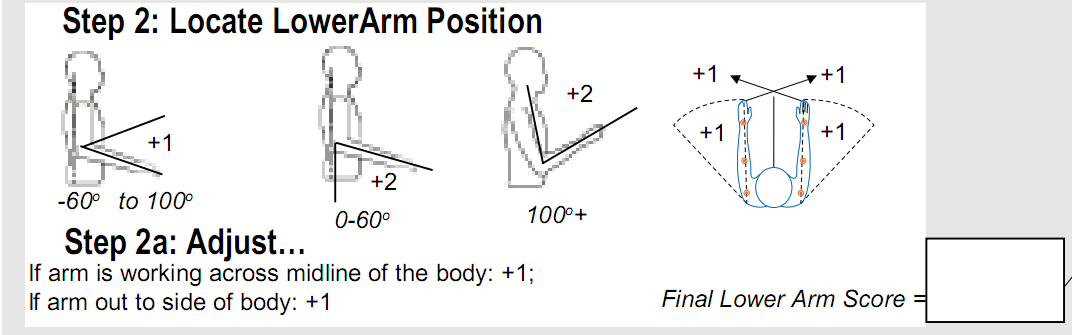 47 b) Lengan Bawah (Lower Arm) Penilaian terhadap lengan bawah dilakukan terhadap sudut yang dibentuk lengan bawah pada saat melakukan aktivitas kerja.