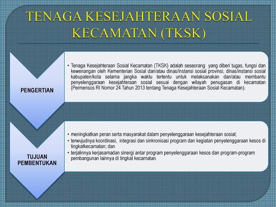 2013 tentang Tenaga Kesejahteraan Sosial Kecamatan).