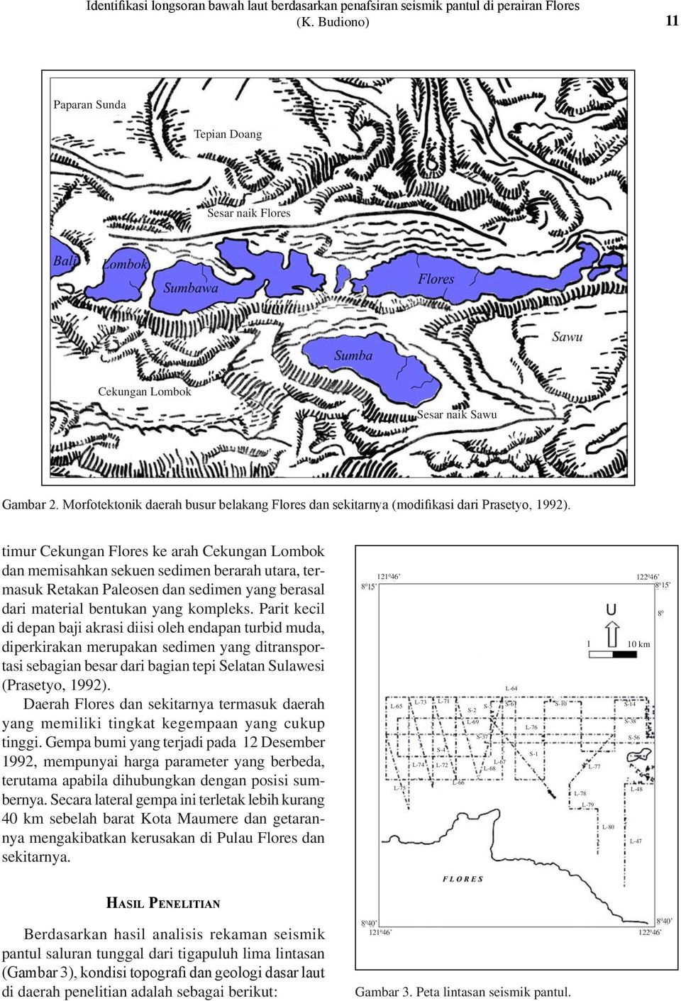 timur Cekungan Flores ke arah Cekungan Lombok dan memisahkan sekuen sedimen berarah utara, termasuk Retakan Paleosen dan sedimen yang berasal dari material bentukan yang kompleks.