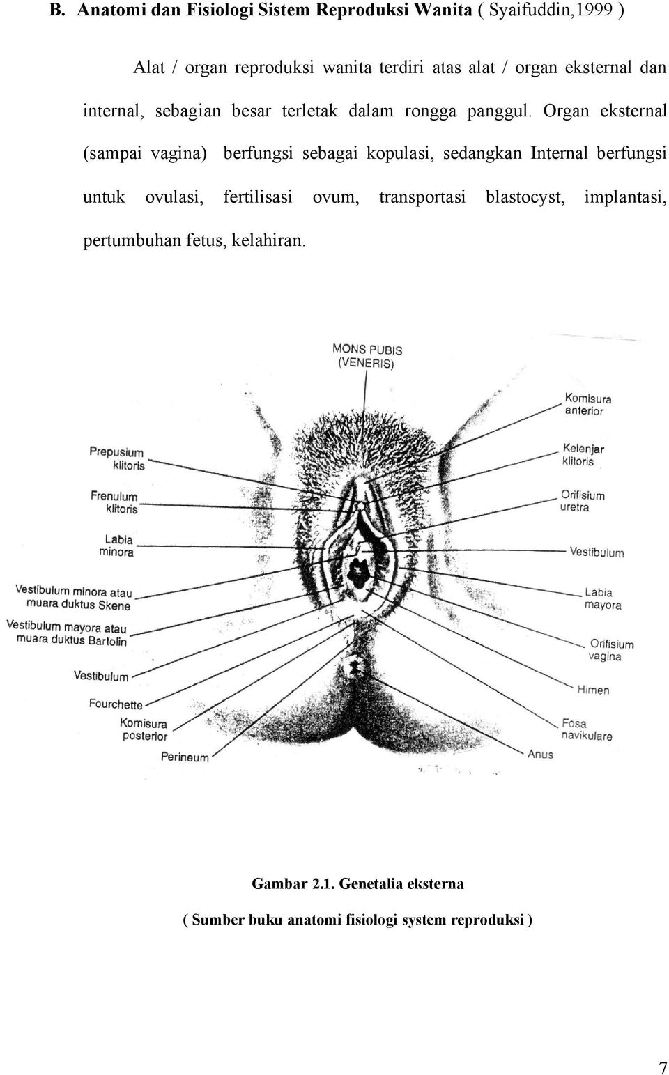 Organ eksternal (sampai vagina) berfungsi sebagai kopulasi, sedangkan Internal berfungsi untuk ovulasi, fertilisasi