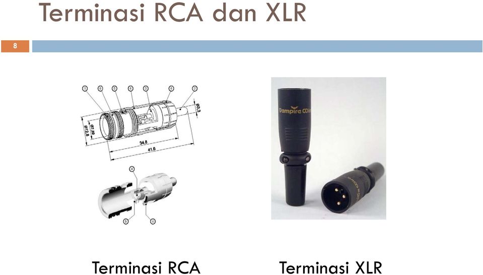 8  RCA  XLR