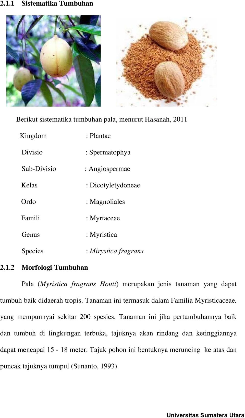 2 Morfologi Tumbuhan Pala (Myristica fragrans Houtt) merupakan jenis tanaman yang dapat tumbuh baik didaerah tropis.