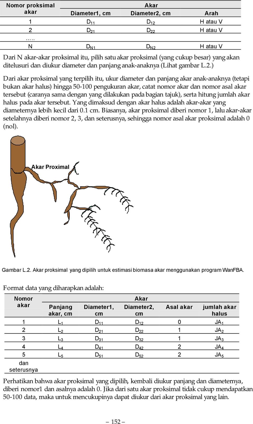 H atau V Dari N akar-akar proksimal itu, pilih satu akar proksimal (yang cukup besar) yang akan ditelusuri dan diukur diameter dan panjang anak-anaknya (Lihat gambar L.2.