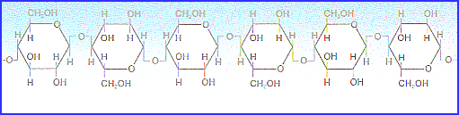 Sellulosa Struktural karbohidrat utama pada tumbuhan berkayu dan berserat Polimer D-glukosa linear dengan iktn β1 4 Dengan iktn tersebut menyebabkan mempy