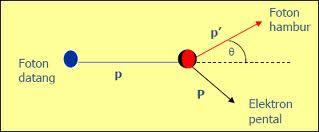 Hamburan Compton Hamburan Compton terjadi karena interaksi antara foton dengan elektron yang tidak terikat secara kuat oleh inti, sehingga menghasilkan foton lain yang