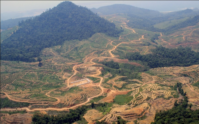 TAMBANG DI KAWASAN HUTAN LINDUNG http://www.sindotrijaya.com I. PENDAHULUAN Hutan tropis Indonesia sangat kaya flora dan fauna serta kekayaan alam lainnya, termasuk mineral dan batubara.