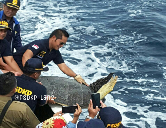 Warta Pengawasan SDKP Edisi IV- Tahun 2016 5 Pemerintah Musnahkan Barang Bukti 23 Kapal Asing Ilegal Barang bukti yang dimusnahkan merupakan kapal asing yang ditangkap oleh Unsur-unsur Satgas antara