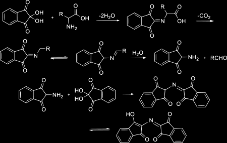 PROTEIN ANALYSIS NINHIDRIN TEST Ninhidrin mengalami deaminasi oksidatif dan asam amino dekarboksilasi menjadi CO2, NH3 dan aldehid Ninhidrin