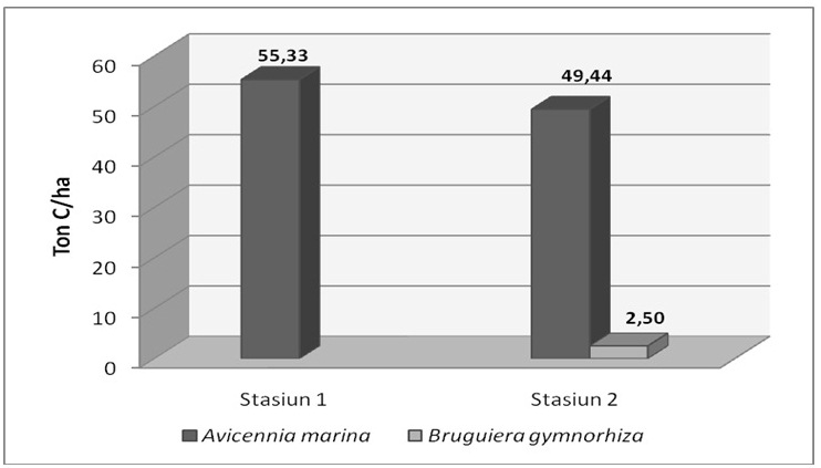 biomassa tersebut lebih tinggi dibandingkan jenis lainnya, seperti total biomassa Bruguiera gymnorhiza yang hanya sebesar 5,26 MgC ha -1.