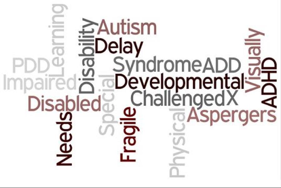 Anak-anak dalam Spektrum Autisma, anak dengan Gangguan Emosi & Perilaku (emotional behaviour disorder), Gangguan Konsentrasi & Hiperaktivitas (ADHD), Gangguan Belajar (learning
