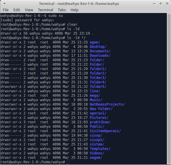 #Apa command line untuk melihat semua tipe file bertipe directory saja seperti contoh dibawah ini & sertakan screenshot!
