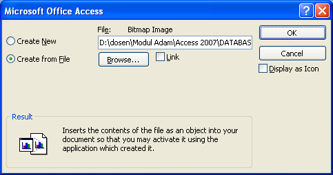 d. Atau anda tinggal memilih file yang akan diinputkan. Untuk gambar usahakan format filenya adalah BMP supaya gambar tersebut ditampilkan pada form.