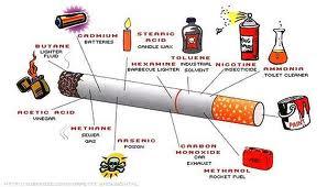 Lanjutan... Dari sebatang rokok mengandung 4000 bahan kimia beracun dan tidak kurang dari 69 diantaranya bersifat karsinogenik.