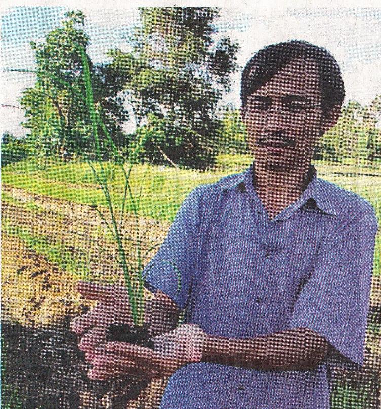 Yang Saing Koma (petani dan akademisi Myanmar) MULAI TAHUN 2000 MEMPERKENALKAN SYSTEM OF RICE INTENSIFICATION