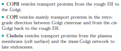 Coatomer Protein Complex I