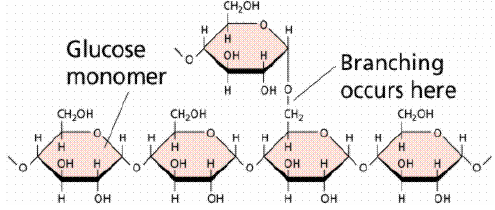 13 Proses perubahan pati menjadi glukosa yang dilakukan oleh enzim diastase pada madu dalam uji aktivitas enzim dengan menggunakan iodin yang disertai perubahan warna larutannya adalah sebagai