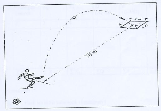 32 Gambar 12 Instrumen tes ketepatan passing lambung (Sukatamsi, 1985:263) Kesempatan menendang bola dengan kaki paling dominan sebanyak 10 kali, prestasi jumlah bola yang masuk ke dalam bujur