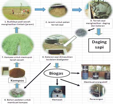 AgroinovasI Sistem Integrasi Tanaman Ternak (SITT) di Lahan Sawah Tadah Hujan untuk Antisipasi Perubahan Iklim Usaha ternak telah berkembang sejak lama di Indonesia, termasuk di Jakenan, Pati tetapi