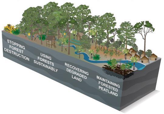 Pembangunan KPH SA 3 : Pembangunan Hutan Lestari (sertifikasi) SA 5