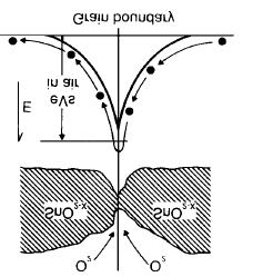 17 (A) (B) Gambar 2.