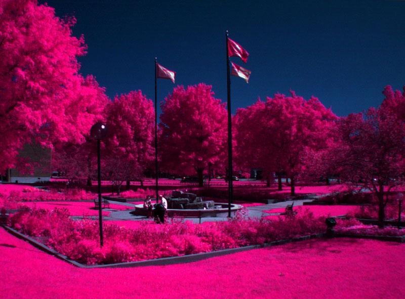 Digital color-visible photograph. Sunken garden on the campus of Emporia State University in late summer. Note normal appearance of vegetation, flags, and other objects in the view.