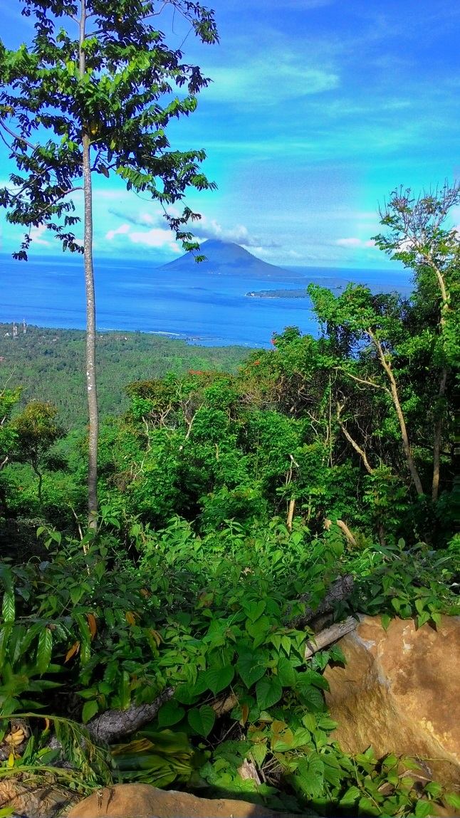 Kehutanan Sulawesi, 2014). Pada awalnya Gunung Tumpa merupakan kawasan Hutan lindung yang kemudian melalui SK.