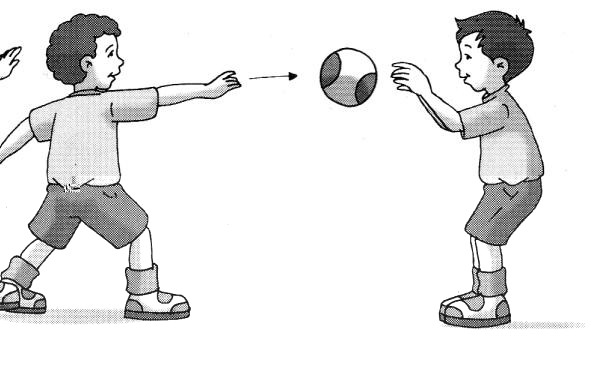 kedepan (badan tidak membungkuk). 7. Ayunkan tangan yang memegang bola kearah depan, langkahkan kaki kanan dan luruskan lutut kiri. Gambar Melempar bola ke depan, Sumber: Sukrisno, dkk.(2006:56) c.