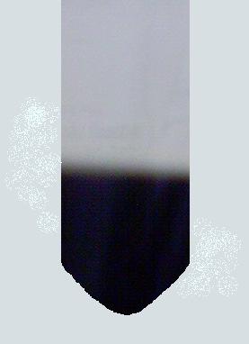 Gambar : a Gambar : b Gambar 1: Hasil identifikasi kandungan flavonoid (a) sebelum reaksi dan (b) sesudah reaksi. Hasil reaksi serbuk Mg dengan HCl akan menghasilkan ion magnesium dan gas hidrogen.