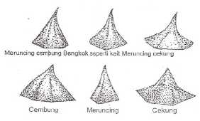 45.Bentuk Duri Buah Durian(saat matang) Gambar 3.21 Bentuk duri buah durian. (1). Meruncing cembung bengkok seperti kait meruncing cekung, (2). Cembung, (3). Meruncing, (4). Cekung. 46.