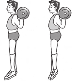 Bentuk bentuk latihan beban di antaranya adalah : 1) Press Cara melakukannya: Beban di dada, dorong ke atas sehingga lengan lurus, lalu kembalikan lagi beban ke dada.