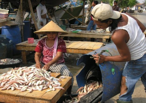 KETENTUAN UMUM (Pasal 1) lanjutan Pelaku utama kegiatan perikanan Nelayan, pembudi daya ikan, dan pengolah ikan beserta keluarga intinya Nelayan adalah perorangan warga negara Indonesia atau