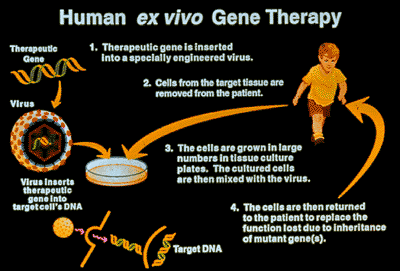 Terapi gen