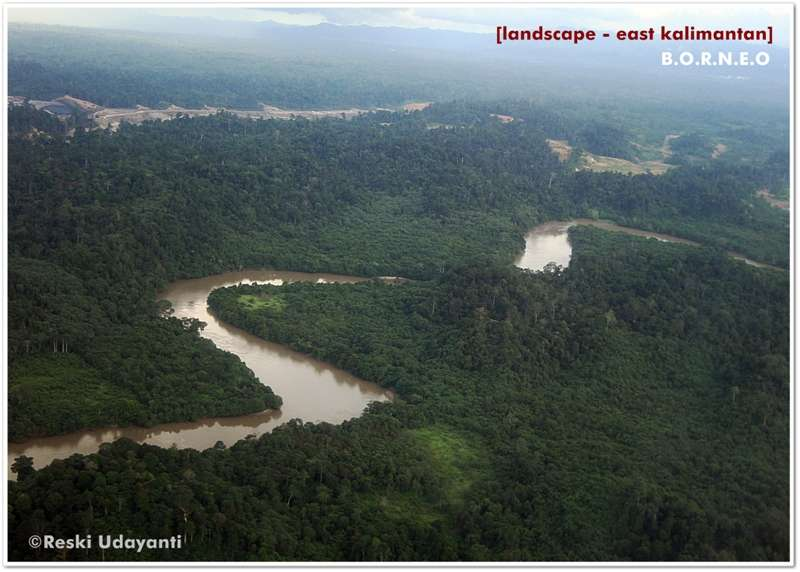 Pembukaan Hutan untuk Lahan Perladangan Daerah Aliran Sungai.
