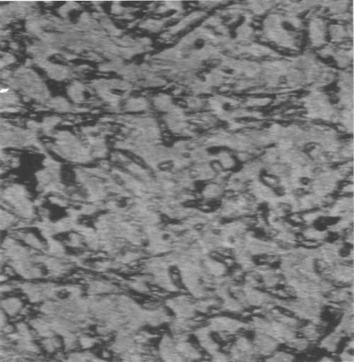 a b 100 µm 100 µm c 100 µm Gambar 3. Struktur mikro paduan aluminium pada temperatur tuang.