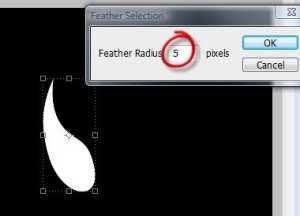 Klik Select > feather untuk Photoshop CS2 ke bawah atau Select > Modify >