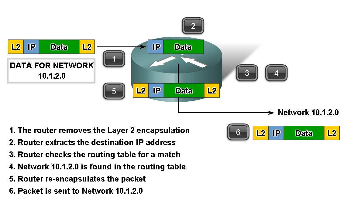 Dasar Route, Next Hop Addresses & Packet Forwarding Menelusuri langkah-langkah beberapa IP packet seperti yang