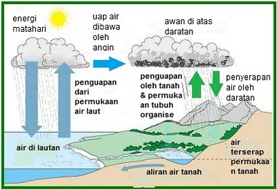Setelah mencapai tanah, siklus hidrologi terus bergerak secara terus menerus dalam tiga cara yang berbeda : 1. Evaporasi/Transpirasi a.