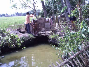 Berdasarkan hasil laboratorium Badan Lingkungan Hidup Daerah pada tahun 2010 kualitas air sungai yang terdapat di Kabupaten Tangerang dinyatakan memiliki nilai ambang baku mutu sebagai berikut : 1.