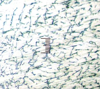 24 mm dari sumbu Struktur mikro diperoleh pada jarak 0 mm, 12 mm dan 24 mm dari sumbu hasil pengecoran tuang