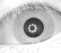Kwalitas citra input sangat mempengaruhi hasil identifikasi lokasi iris mata dimana semakin baik kwalitas citra input semakin akurat hasil identifikasi iris mata.