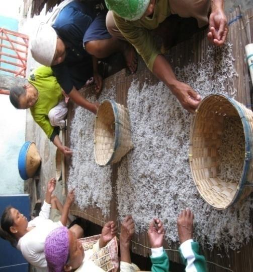 Ikan teri nasi setengah kering ini kemudian disimpan dalam gudang yang bersuhu ruang atau langsung dikirim ke daerah pemesanan.