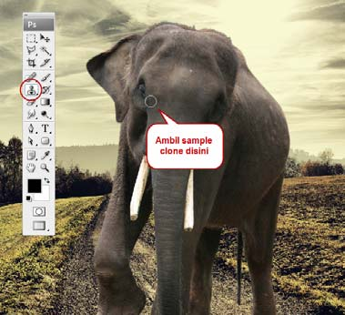 3 Menambahkan objek gajah 4 Clone stamp Selanjutnya buka file Img_Gajah