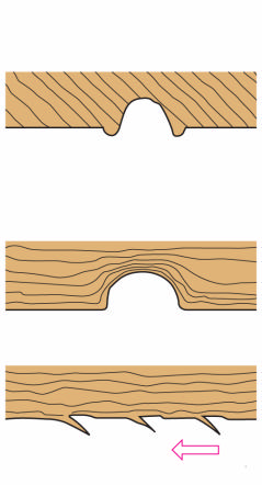 arah mengamplas memotong serat kayu Sepon dapat digunakan untuk membasuhkan bahan pelarut ke permukaan kayu yang ada getahnya.