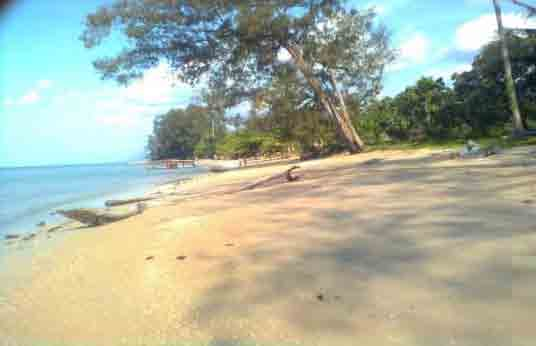 13 PARIWISATA Sektor Pariwisata Bisa Menjadi Sektor Andalan Kabupaten Sorong memiliki beberapa potensi wisata bahari maupun wisata alam yang apabila dikelola dengan maksimal akan mendatangkan