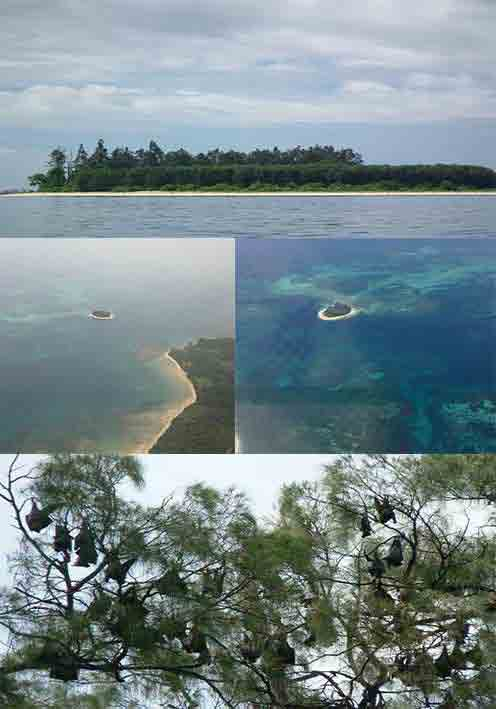 Beberapa objek wisata potensial yang terdapat di Kabupaten Sorong antara lain wisata pantai Mailan dan Pulaun Um di Distrik Makbon, Pantai Yeflio di Distrik Mayamuk, wisata alam air panas di Distrik