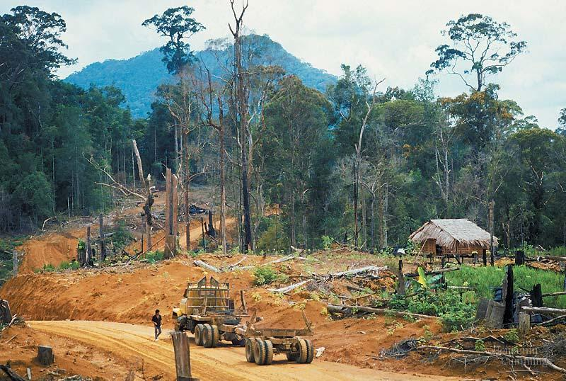 4. Penebangan Hutan Dapat mengakibatkan : Peningkatan suhu udara,